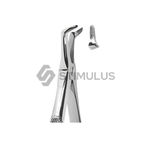 Extracting Forceps-English Pattern