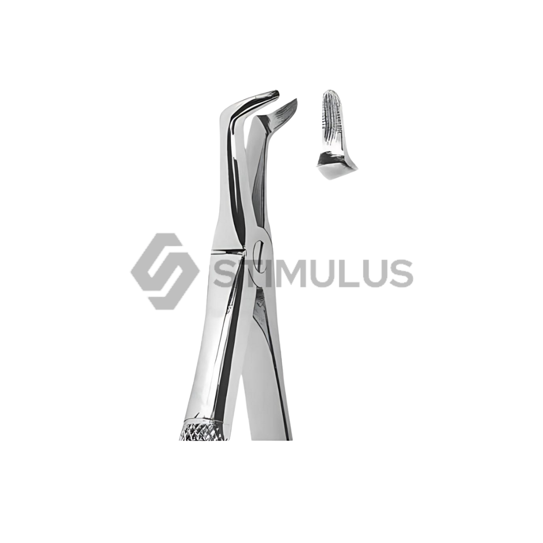 Extracting Forceps-English Pattern