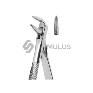 Extracting Forceps-English Pattern