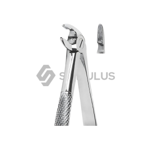 Extracting Forceps-English Pattern