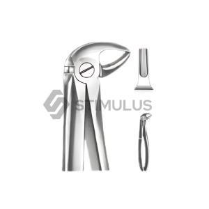 Extracting Forceps-English Pattern