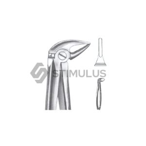 Extracting Forceps-English Pattern