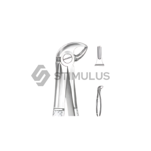 Extracting Forceps-English Pattern