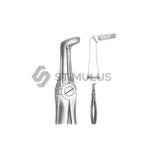 Extracting Forceps-English Pattern