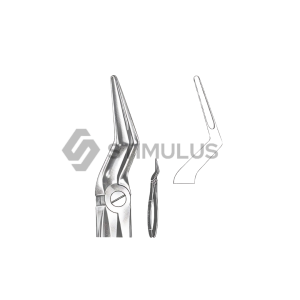 Extracting Forceps-English Pattern