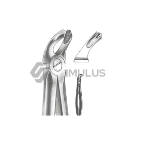 Extracting Forceps-English Pattern