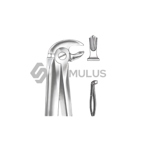 Extracting Forceps-English Pattern