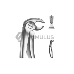 Extracting Forceps-English Pattern