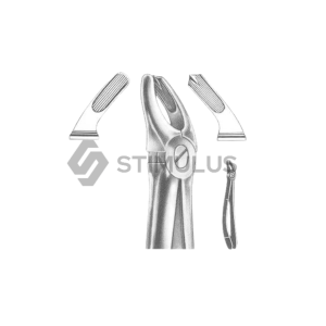 Extracting Forceps-English Pattern