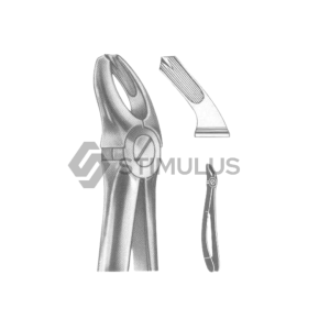 Extracting Forceps-English Pattern