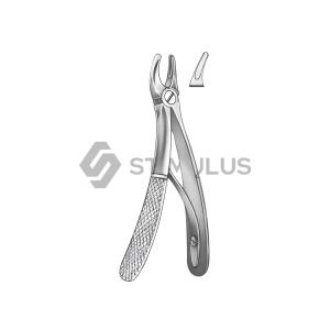 Extracting Forceps Children-English Pattern