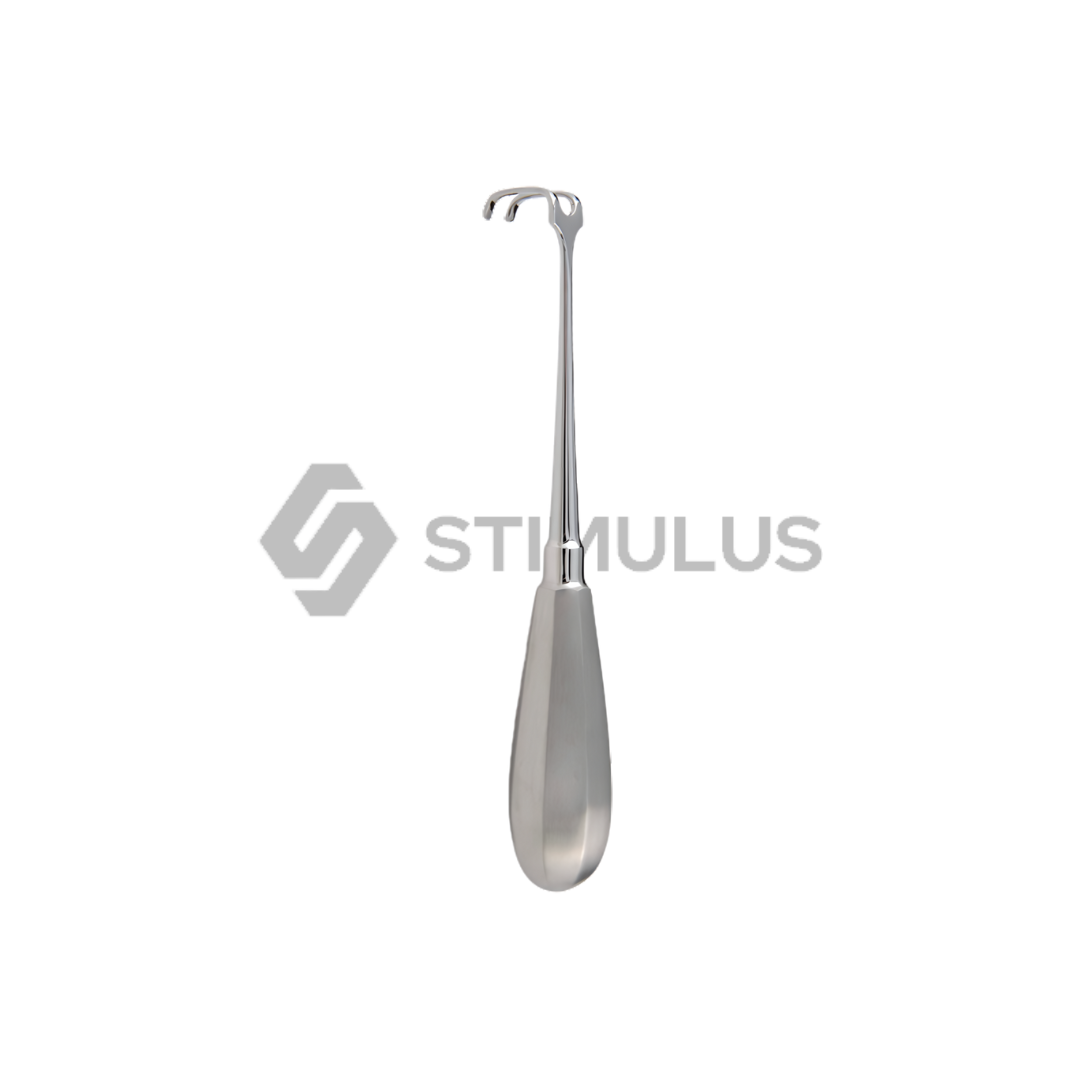 Brompton Hospital Erector Spinae Back End Retractor 2 Prongs